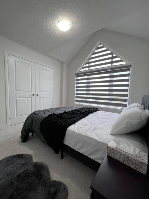 Brand New 4 Bedroom Villa By Hamilton Airport! Exterior photo